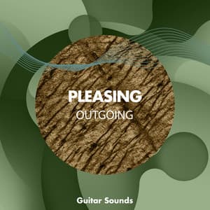 zZz Pleasing Outgoing Guitar Sounds zZz - Palm Analogue
