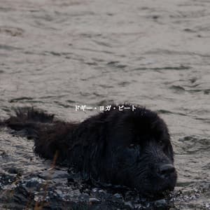 ドギー・ヨガ・ビート - Jazz Saxophone Playlist