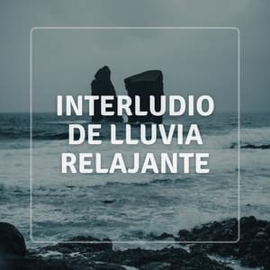 Interludio De Lluvia Relajante - La Fábrica de Lluvia