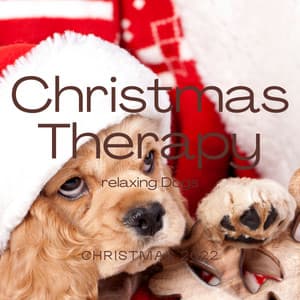 2 0 2 2 Christmas Therapy - Dog Music Therapy