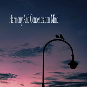 Harmony And Concentration Mind - Relaxing Music