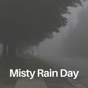Misty Rain Day - Sample Rain Library