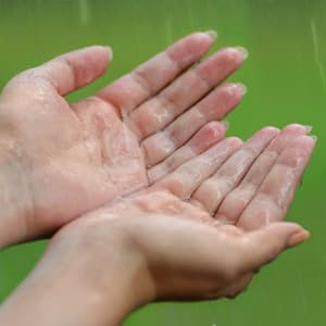 Rainy Reflections: Healing Raindrops of Serenity - Rain Ambience