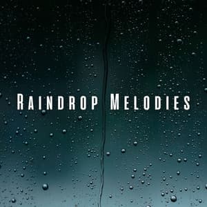 Raindrop Melodies: Tranquil Rain and Chill Sounds for Pets - Prince Of Rain