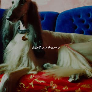 犬のダンスチューン - French Cafe Jazz Lounge