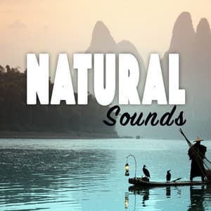 Natural Sounds - Sounds of Nature for Deep Sleep and Relaxation