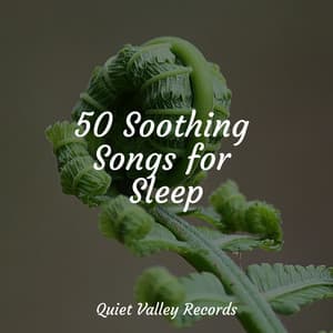 50 Soothing Songs for Sleep - Musica Para Dormir y Sonidos de la Naturaleza