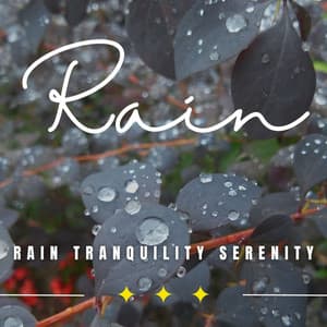 Dreamy Rain Tranquility: Binaural Focus Rainfall - Rain Sounds Nature Collection