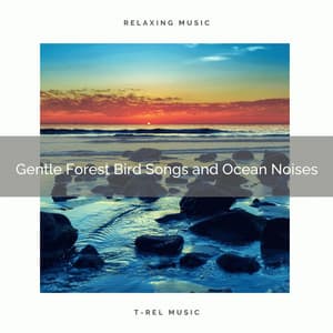 Gentle Forest Bird Songs and Ocean Noises - JBE Nature Sounds