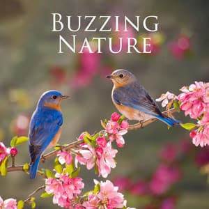 Buzzing Nature: Connect With the Natural World, Relaxing Sounds of Water and Birdsong - Nature Sounds Paradise