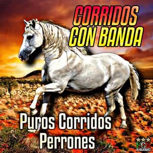 Puros Corridos Perrones - Corridos Con Banda