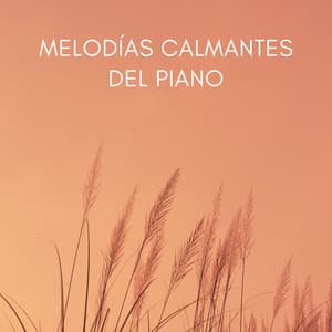 Melodías Calmantes Del Piano - Radio relajante con piano