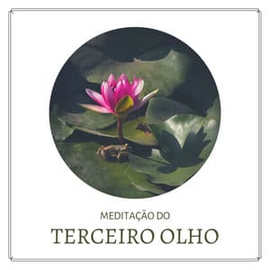 Meditação do Terceiro Olho: Canções com Frequências Binaurais para Abrir e Equilibrar os Chakras - Chakra Música Cura