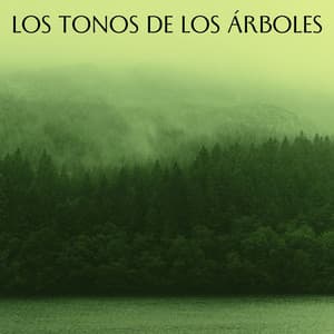 Los Tonos De Los Árboles - 101 Naturaleza