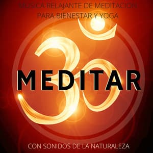 Meditar - Musica Relajante de Meditacion para Bienestar y Yoga - Naturaleza Ensemble