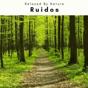 3 2 1 Ruidos - Sonidos Naturaleza