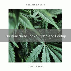 Unusual Noise For Your Nap And Bootup - Baby Shusher And Lullaby
