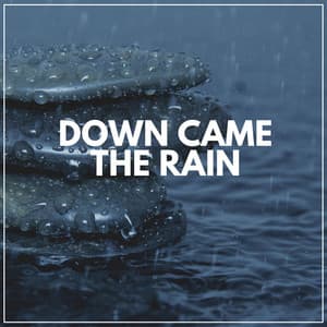 Down Came the Rain - Sounds of Nature White Noise Sound Effects