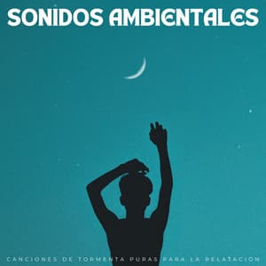 Sonidos Ambientales: Canciones De Tormenta Puras Para La Relajación - Descansar Musica
