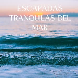 Escapadas Tranquilas Del Mar: Paisajes Sonoros Binaurales Para La Relajación - Binauralidades