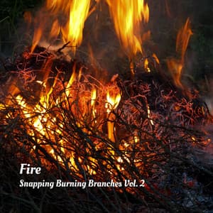 Fire: Snapping Burning Branches Vol. 2 - Nature Songs Nature Music