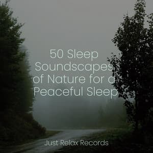 50 Sleep Soundscapes of Nature for a Peaceful Sleep - Música Relajante para Bebés