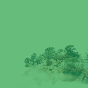 Echoes of Devoted Inspiration - Instrumental Jazz Trio New York