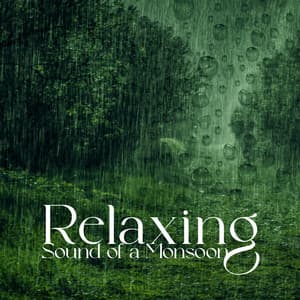 Relaxing Sound of a Monsoon: Rain Sounds for Sleep, Study, Concentration, Spa & Relax - Lightning, Thunder and Rain Storm