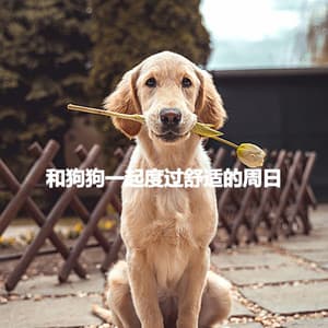 和狗狗一起度过舒适的周日 - Coffee House Jazz Playlist