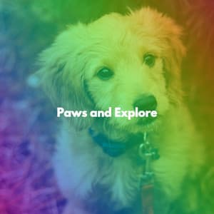 Paws and Explore - Latin Jazz Vibes