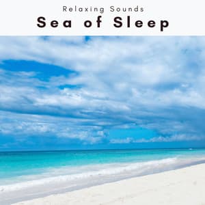 A Sea of Sleep - Ocean Currents