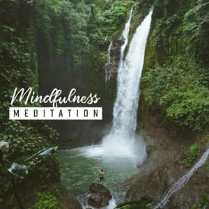 Mindfulness Meditation: Buddhist & Transcendental Meditation, Rebirth, Healing & Calmness Sounds, Spa, Deep Relaxation - Cello Soul Universe
