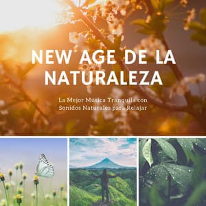 New Age de la Naturaleza: La Mejor Música Tranquila con Sonidos Naturales para Relajar - Estrella Cuna
