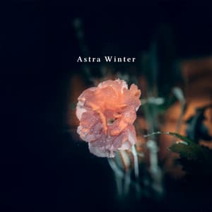 Tectonic Flow States - Astra Winter