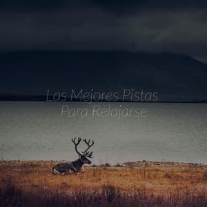 Las Mejores Pistas Para Relajarse - Musica Para Estudiar Academy
