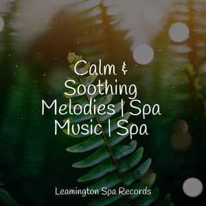 Calm & Soothing Melodies | Spa Music | Spa - Massage