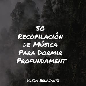 50 Recopilación de Música Para Dormir Profundamente - Meditação Zen