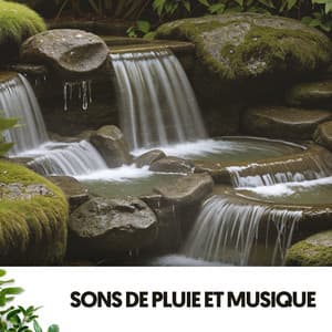 Sons de Pluie et Musique : Mélodies du Ciel - Cat Music Therapy