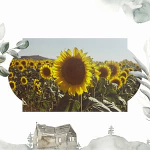 Relaxing Rituals - Reading Music Playlist