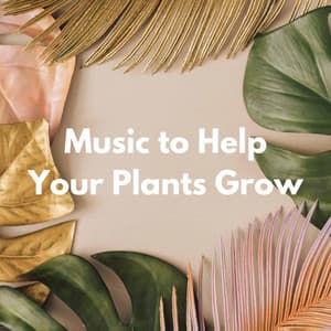 Music to Help Your Plants Grow - Ontspannende Muziek