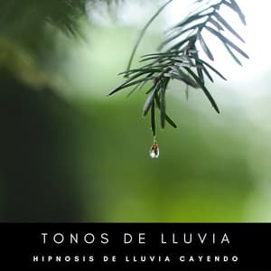 Tonos De Lluvia: Hipnosis De Lluvia Cayendo - Lluvia para Dormir ASMR
