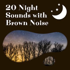 20 Night Sounds with Brown Noise, Loopable - Brown Noise Sounds