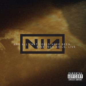 Live: And All That Could Have Been - Nine Inch Nails