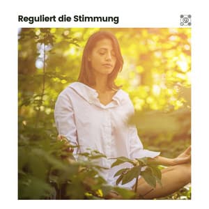 Reguliert die Stimmung - Musik zum Lernen