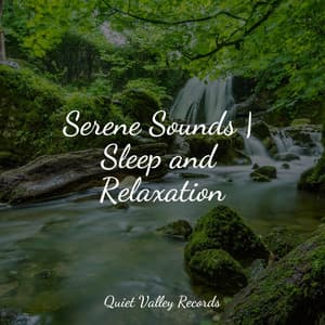 Serene Sounds | Sleep and Relaxation - Rain Shower Spa