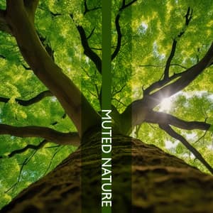 Muted Nature: Relaxation in Quietude - Forest Hills Music Universe