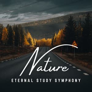 Serenade of Study: Concentration Whispers - Relaxing Study Music Retro