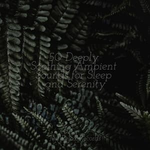 50 Deeply Soothing Ambient Sounds for Sleep and Serenity - Música a Relajarse