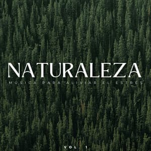 Naturaleza: Música Para Aliviar El Estrés Vol. 1 - Sonidos de la naturaleza con música