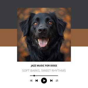 Soft Barks, Sweet Rhythms - Jazz Music for Dogs